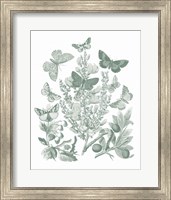 Butterfly Bouquet II Sage Fine Art Print