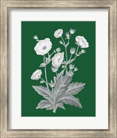 Green Botanical VI Fine Art Print