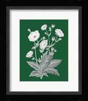 Green Botanical VI Framed Print