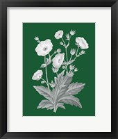 Green Botanical VI Fine Art Print