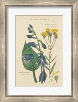 Botanical Print I Fine Art Print