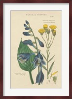 Botanical Print I Fine Art Print