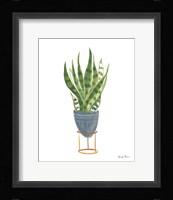 Green House Plants IV Framed Print