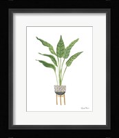 Green House Plants III Framed Print