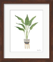 Green House Plants III Fine Art Print