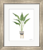 Green House Plants III Fine Art Print
