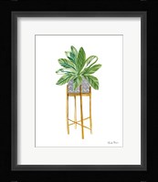 Green House Plants I Framed Print