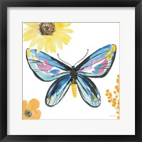 Beautiful Butterfly III Blue No Words Framed Print