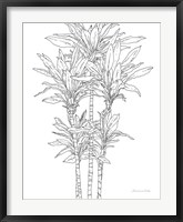 Sketched Tree II Fine Art Print