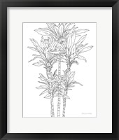 Sketched Tree II Fine Art Print
