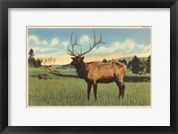 Elk I Crop Framed Print