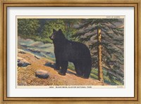 Black Bear I Crop Fine Art Print