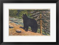 Black Bear I Crop Fine Art Print
