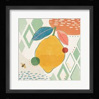 Fruit Frenzy VI Framed Print