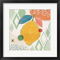 Fruit Frenzy VI Framed Print