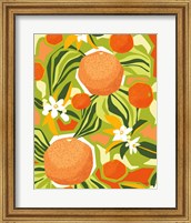 Tangerine Grapefruit Fine Art Print