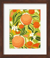 Tangerine Grapefruit Fine Art Print