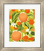 Tangerine Grapefruit Fine Art Print