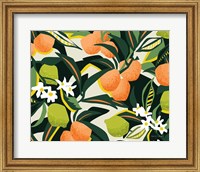 Sweet Orange Lime Fine Art Print