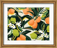 Sweet Orange Lime Fine Art Print