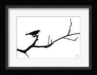 Bird Silhouette Fine Art Print