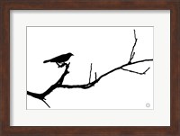 Bird Silhouette Fine Art Print