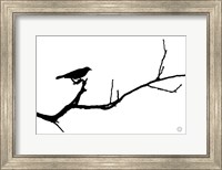 Bird Silhouette Fine Art Print