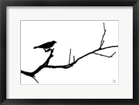 Bird Silhouette Fine Art Print