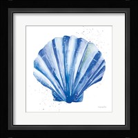 Scallop Shell Sq Framed Print