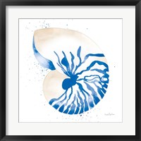 Nautilus Sq Fine Art Print