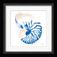Nautilus Sq Fine Art Print