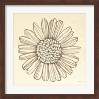 Farmhouse Sunflower Fine Art Print