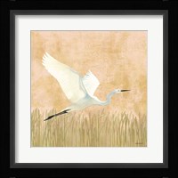Egret Alighting II Fine Art Print