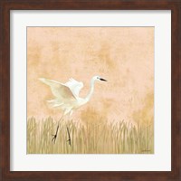 Egret Alighting I Fine Art Print