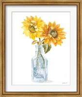 Fresh Cut Sunflowers I Fine Art Print