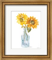 Fresh Cut Sunflowers I Fine Art Print