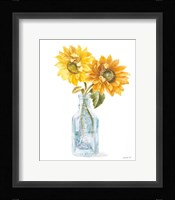 Fresh Cut Sunflowers I Framed Print