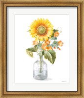 Fresh Cut Sunflowers II Fine Art Print