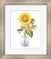 Fresh Cut Sunflowers II Fine Art Print