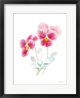 Color of Spring IV Framed Print