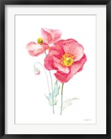Color of Spring III Fine Art Print