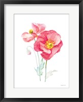 Color of Spring III Framed Print