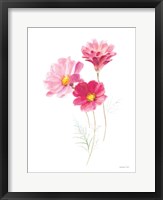 Color of Spring II Framed Print