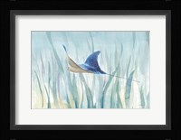 Undersea Ray Fine Art Print