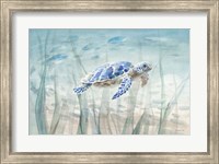 Undersea Turtle Fine Art Print