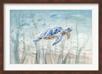 Undersea Turtle Fine Art Print