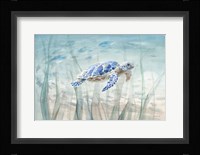 Undersea Turtle Framed Print