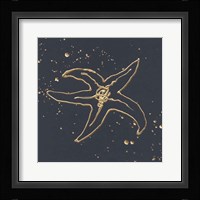 Gold Starfish III Framed Print