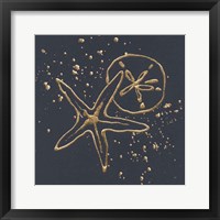 Gold Sand Dollar Starfish Fine Art Print
