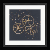 Gold Sand Dollar II Fine Art Print